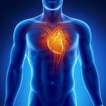 Aranykolloid a szív aktívitására 